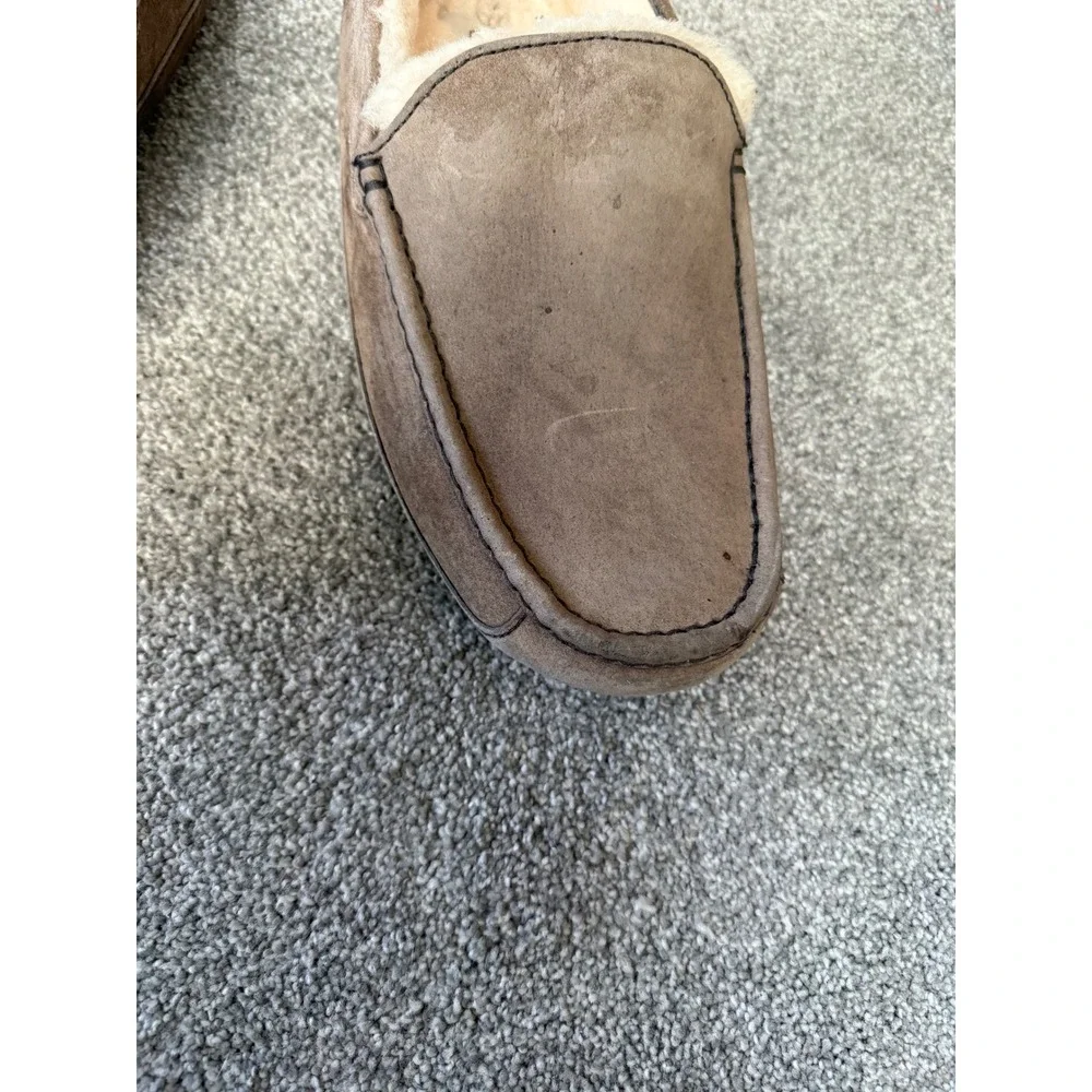 UGG mens ascot